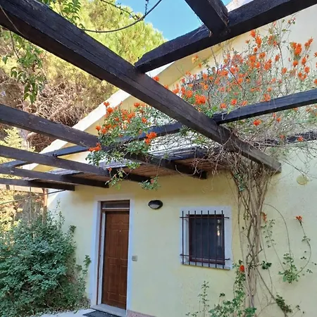 Casa Dragonfly Valledoria (Sardinia)